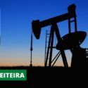 Vaca dourada, Petrobras só engorda governos e mercado financeiro